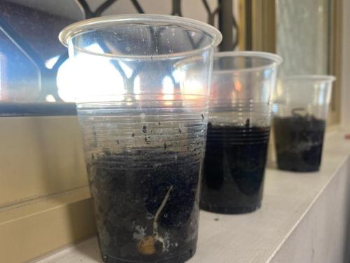 image-20220901-054722-d5b2b788